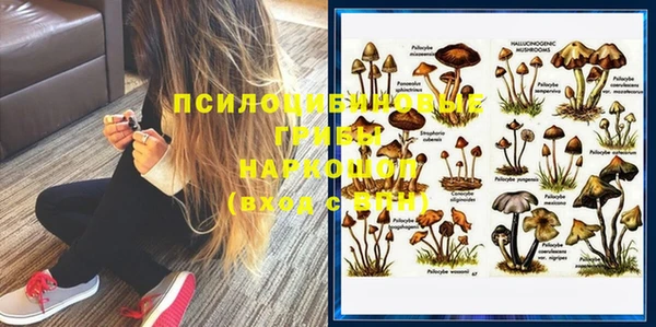 спиды Арсеньев