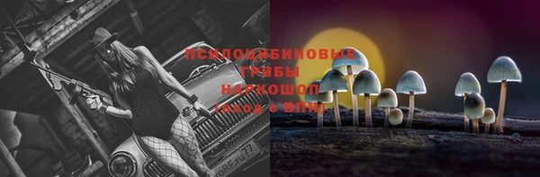 молекула духа Армянск